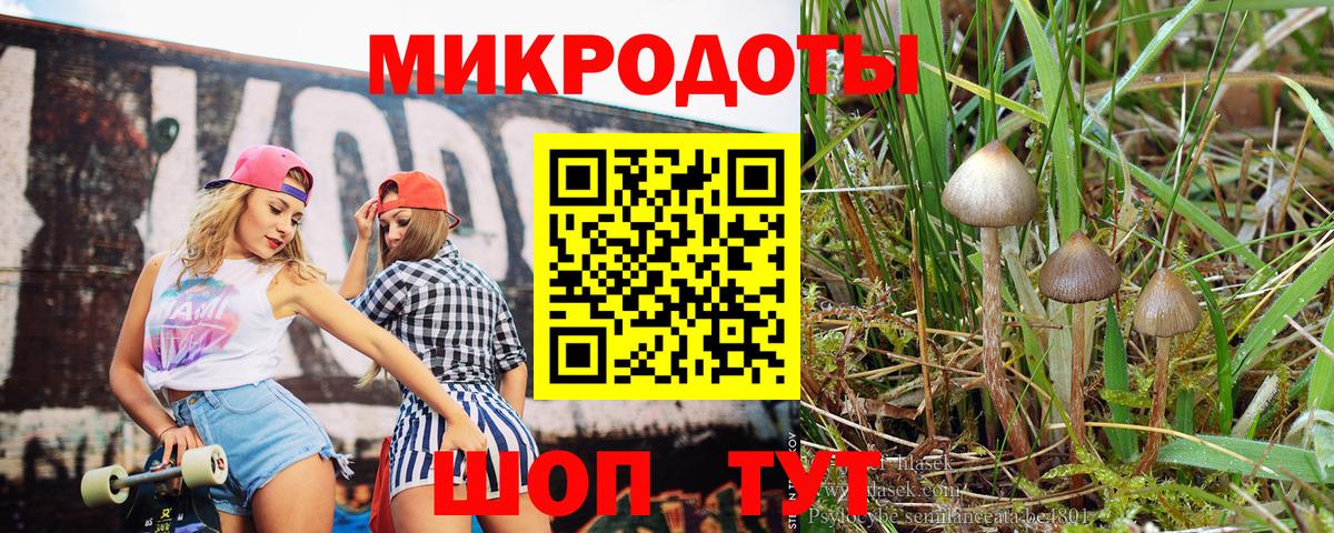 Галлюциногенные грибы Magic Shrooms Сердобск