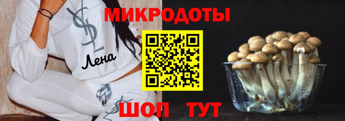 Сердобск  Псилоцибиновые грибы мицелий  Вход с VPN 